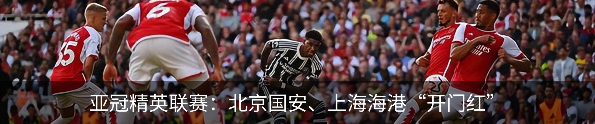 新闻动态