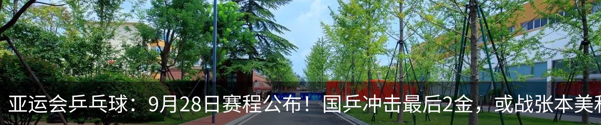 新闻动态