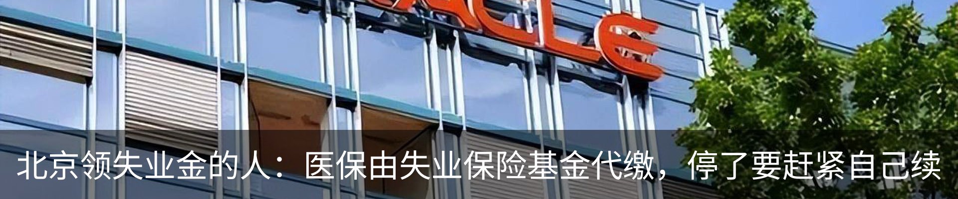 新闻动态