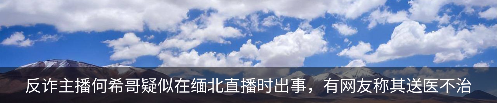 新闻动态