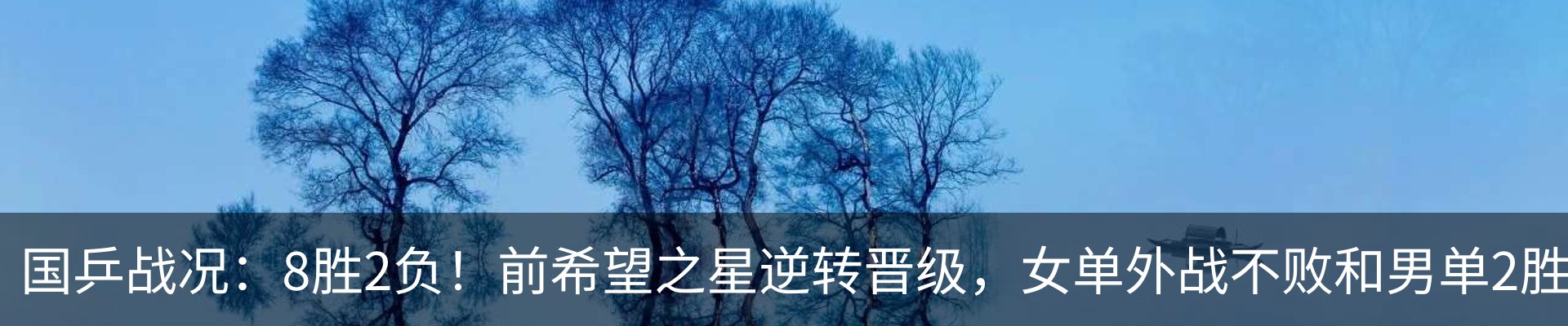 新闻动态