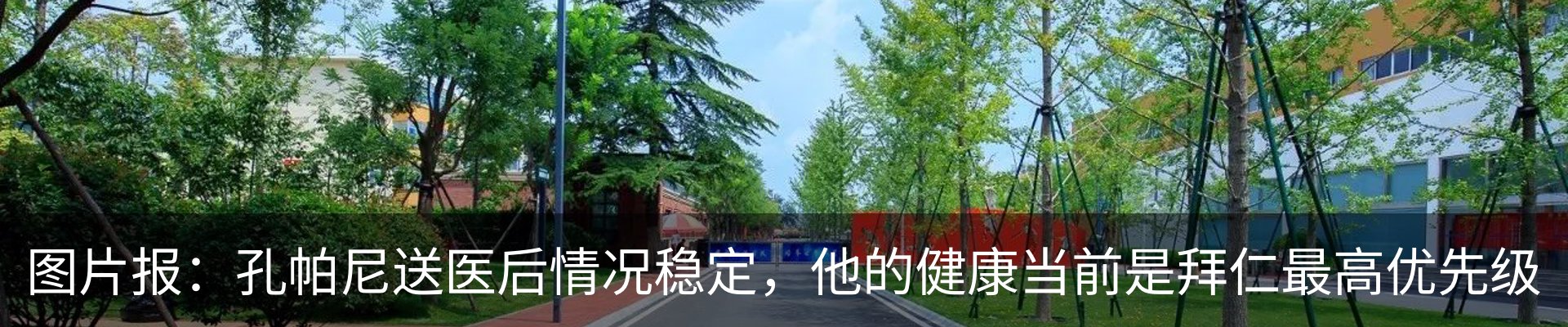 新闻动态