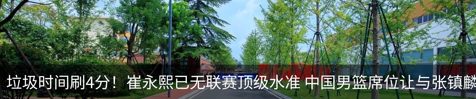 新闻动态