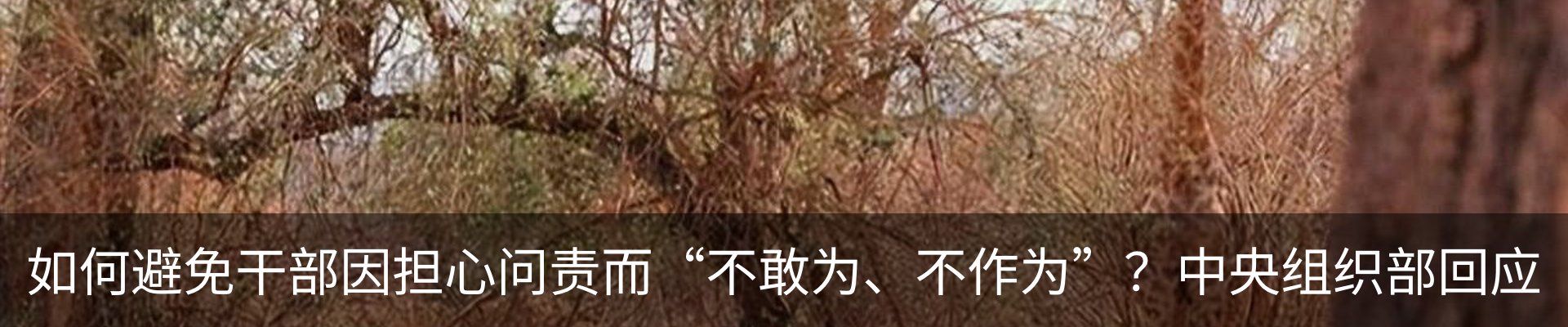 新闻动态