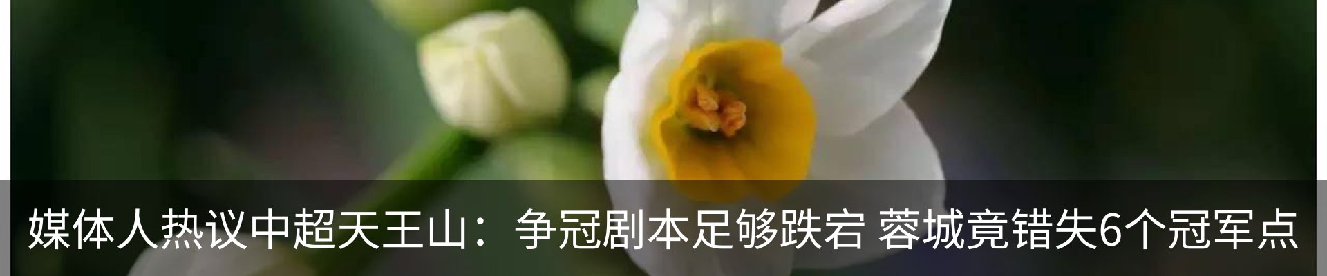 新闻动态