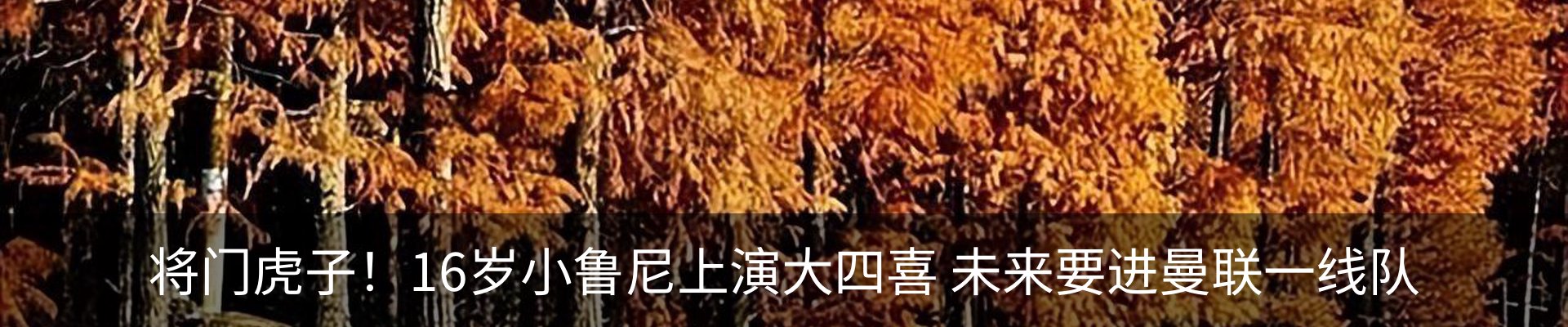 新闻动态
