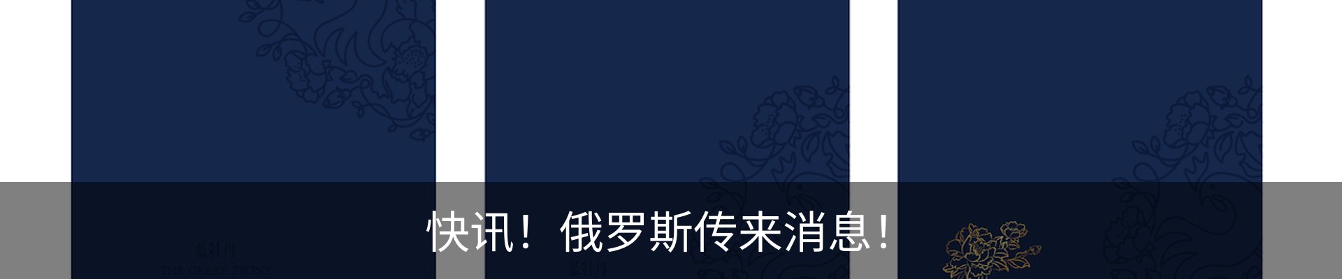 新闻动态