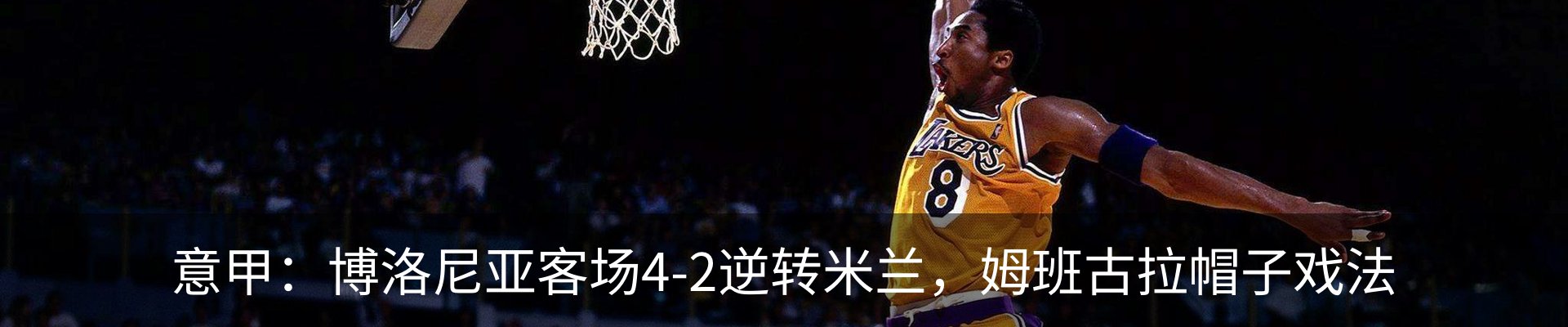 新闻动态