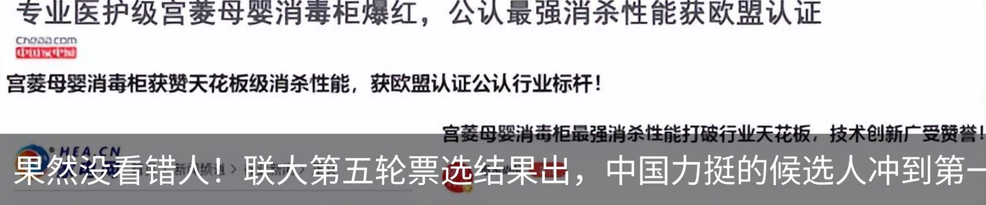 新闻动态