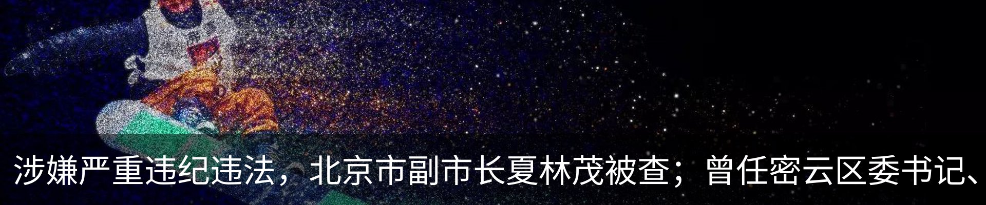 新闻动态