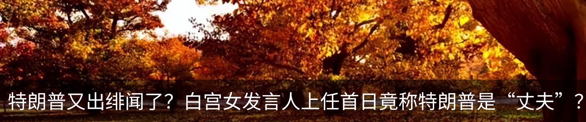 新闻动态