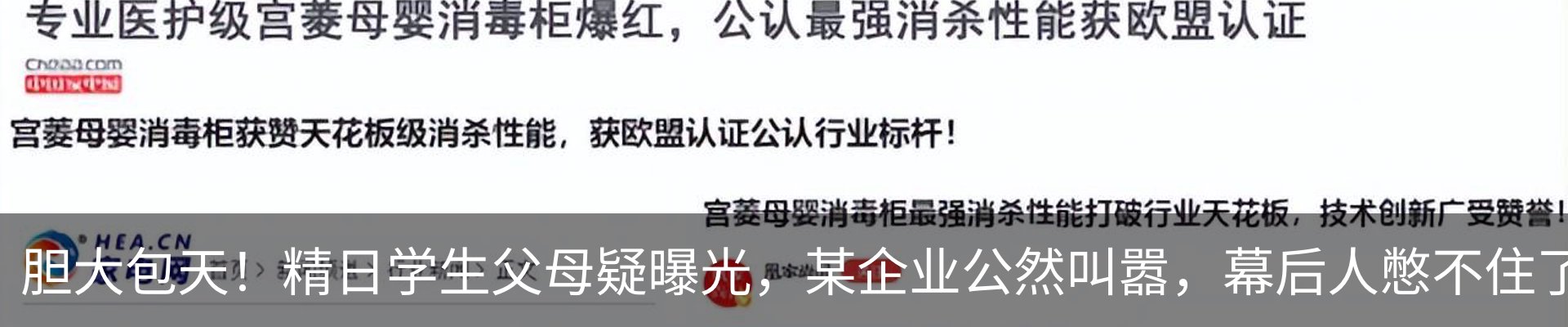 新闻动态