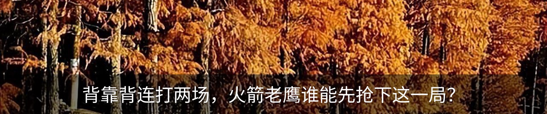 新闻动态