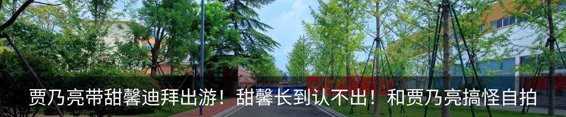 新闻动态