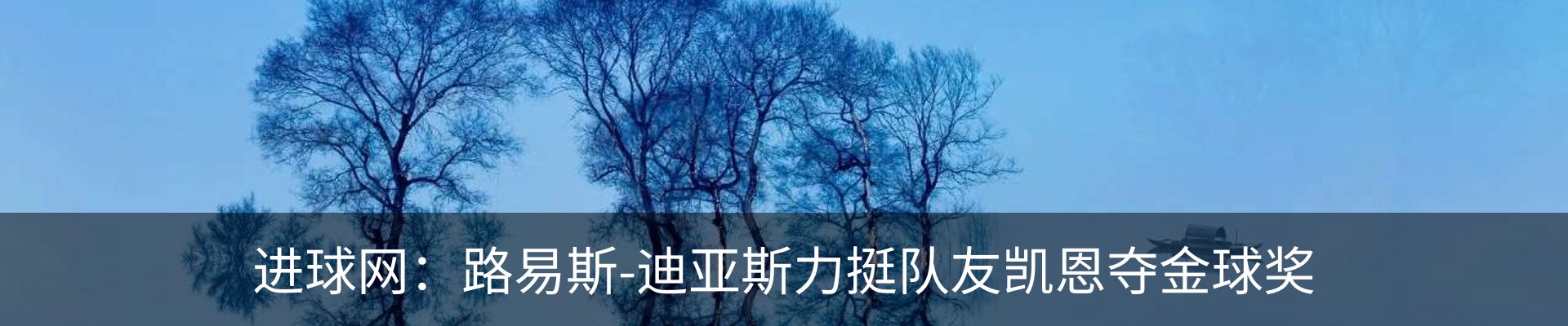 新闻动态