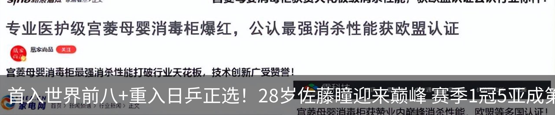 新闻动态
