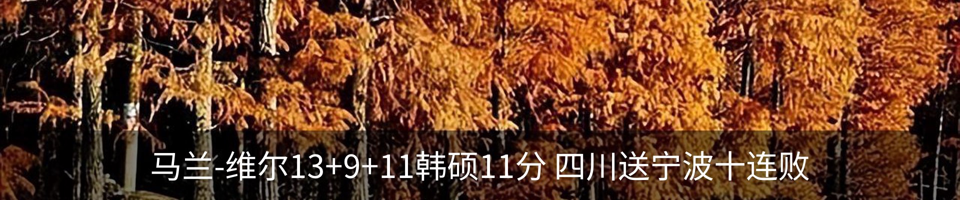 新闻动态