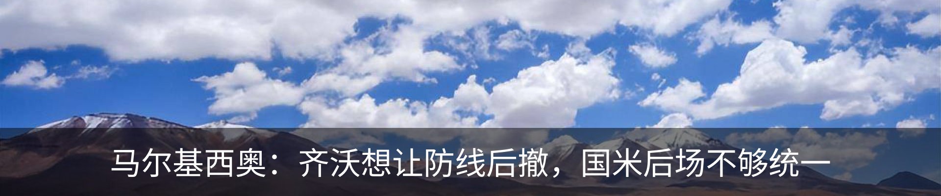 新闻动态