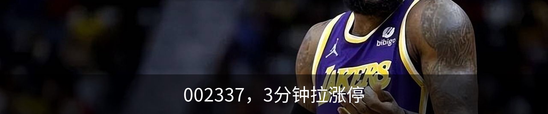 新闻动态